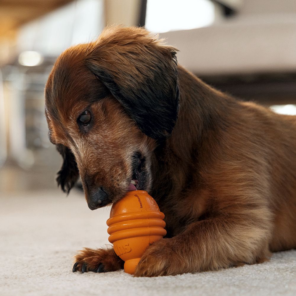 Beeztees SUMO PLAY - S/M/L - Apportierspielzeug Snackspielzeug Kauspiel Hund