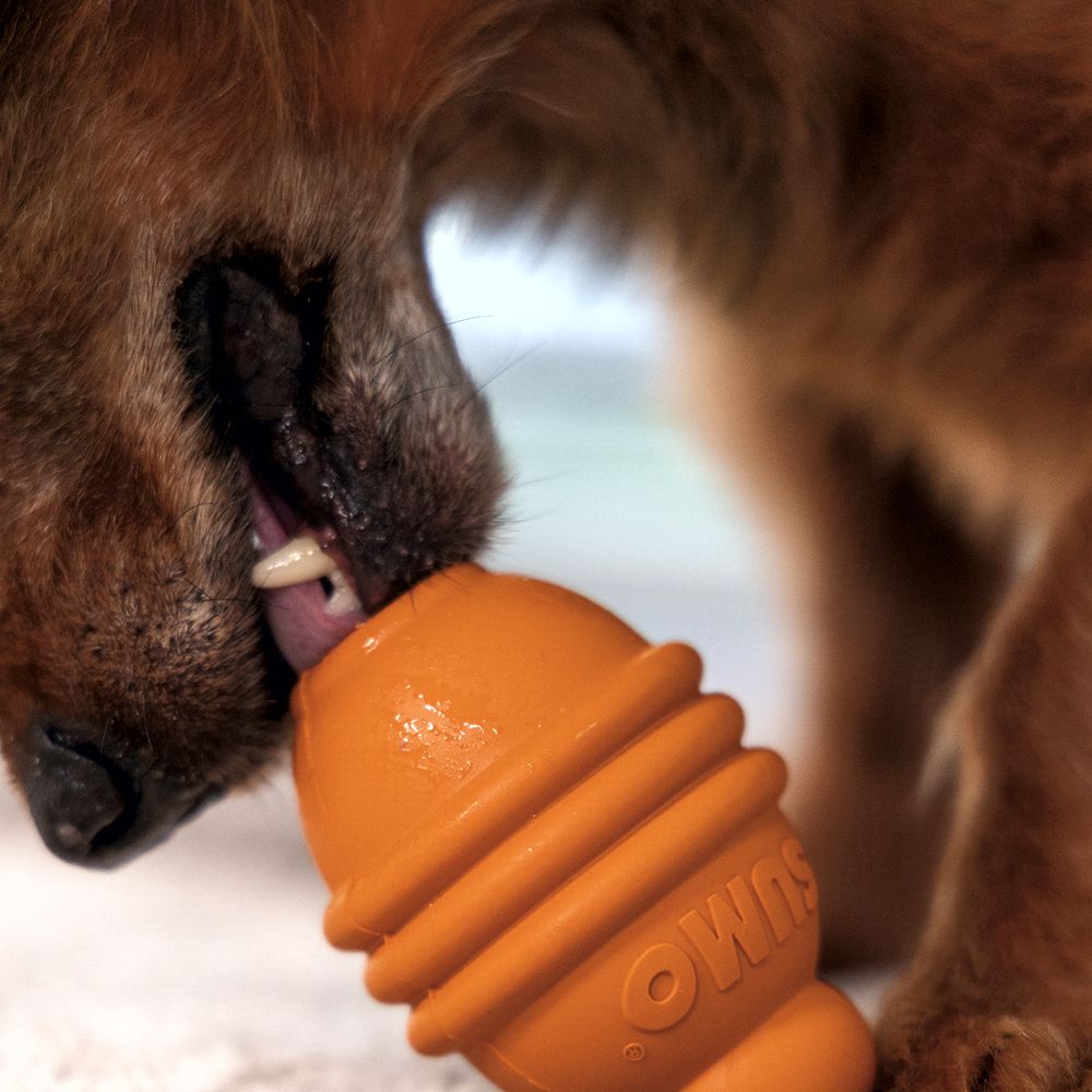 Beeztees SUMO PLAY - S/M/L - Apportierspielzeug Snackspielzeug Kauspiel Hund