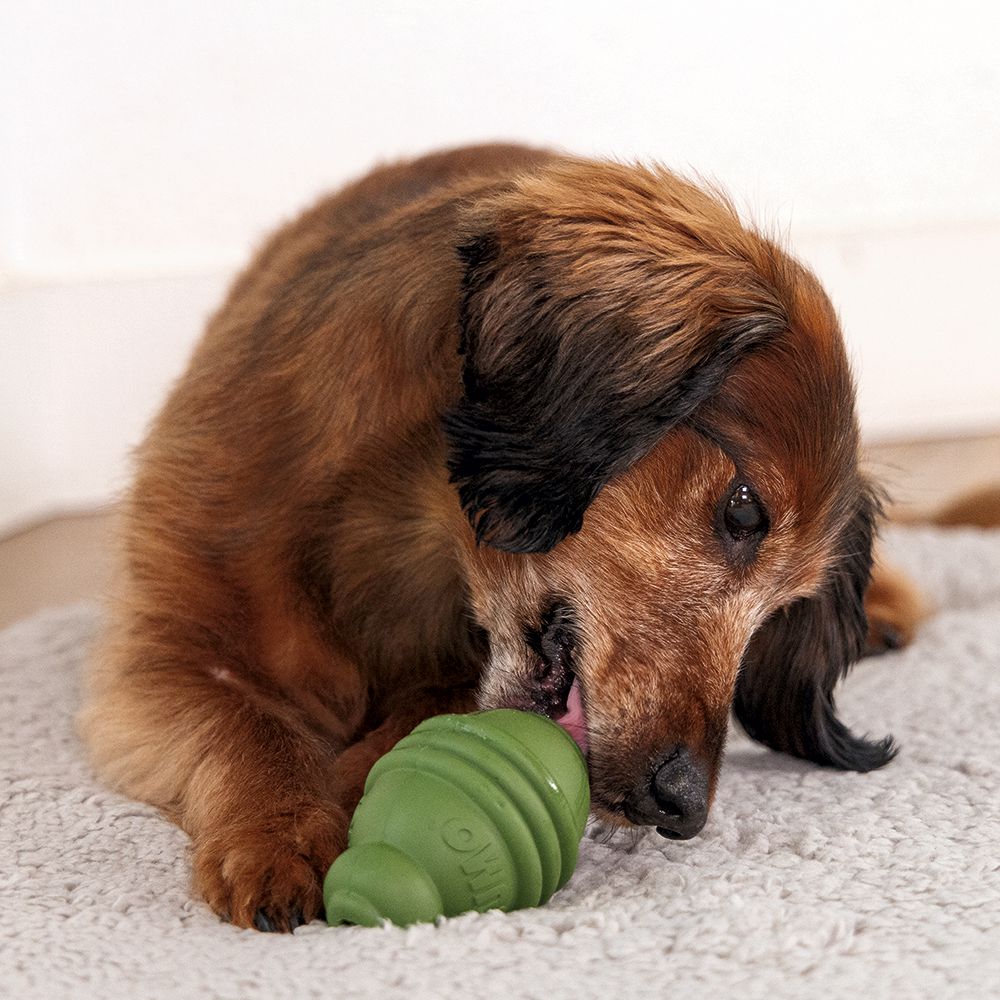 Beeztees SUMO PLAY - S/M/L - Apportierspielzeug Snackspielzeug Kauspiel Hund