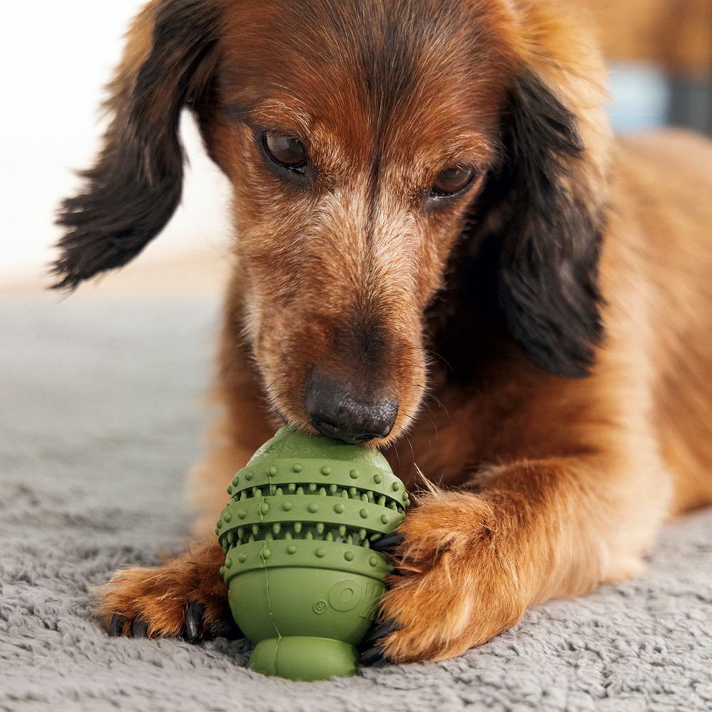 Beeztees SUMO PLAY DENTAL - S/M/L - Apportierspielzeug Snackspielzeug Kauspiel