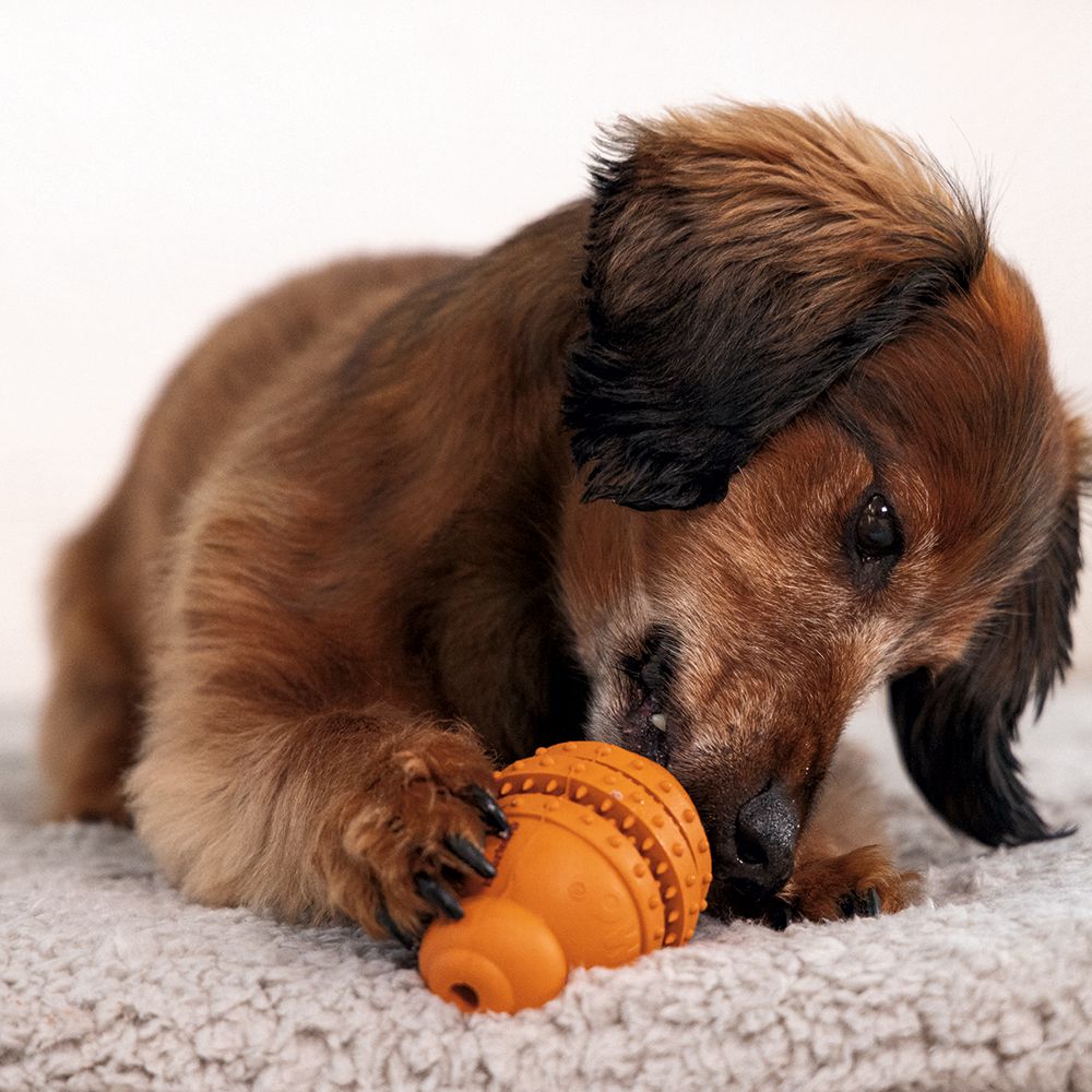 Beeztees SUMO PLAY DENTAL - S/M/L - Apportierspielzeug Snackspielzeug Kauspiel