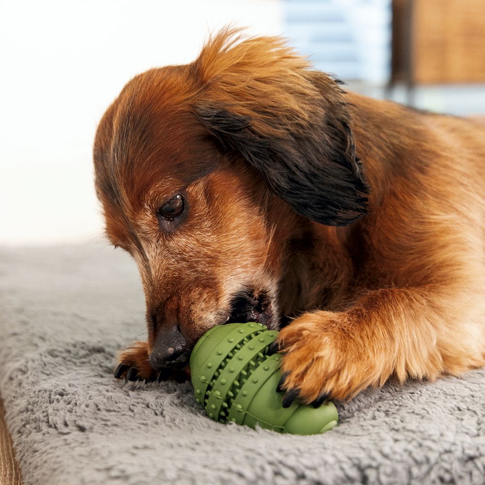 Beeztees SUMO PLAY DENTAL - S/M/L - Apportierspielzeug Snackspielzeug Kauspiel