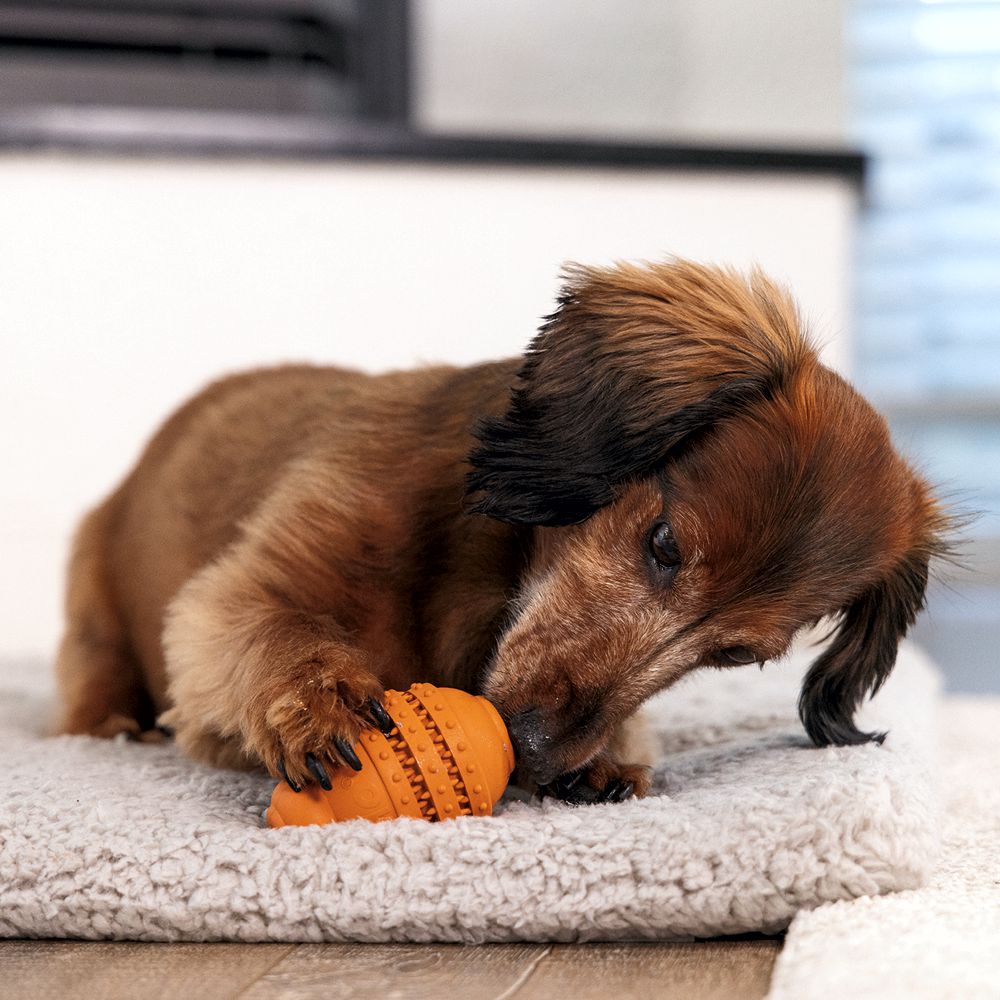 Beeztees SUMO PLAY DENTAL - S/M/L - Apportierspielzeug Snackspielzeug Kauspiel