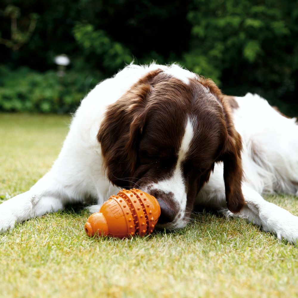 Beeztees SUMO PLAY DENTAL - S/M/L - Apportierspielzeug Snackspielzeug Kauspiel