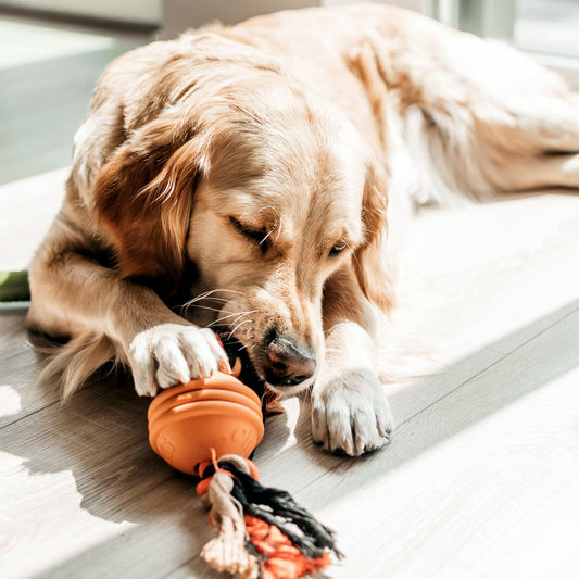 Beeztees SUMO FIT BALL - Apportierspielzeug mit Seil - 32 cm - Zerrspielzeug