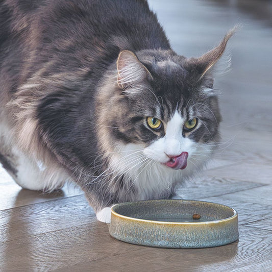 Designed by Lotte Keramik Katzennapf JACE - Milchschale Futternapf Fressnapf