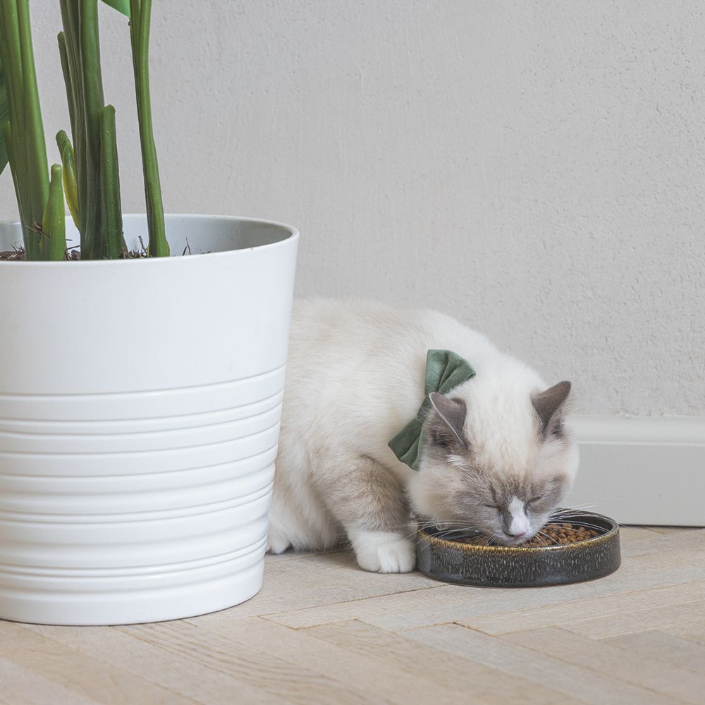 Designed by Lotte Keramik Katzennapf JACE - Milchschale Futternapf Fressnapf