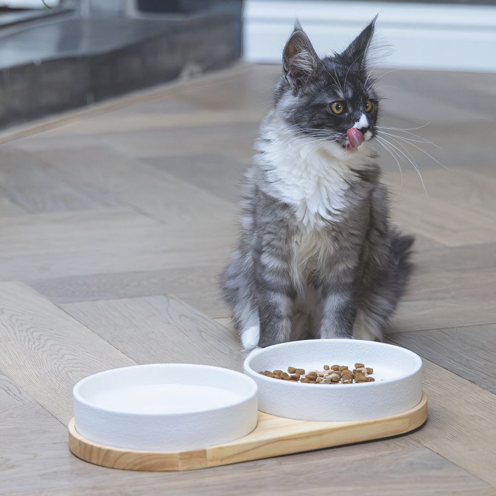 Designed by Lotte Keramik Napf LOJS - Katzennapf Hundenapf Futternapf Wassernapf