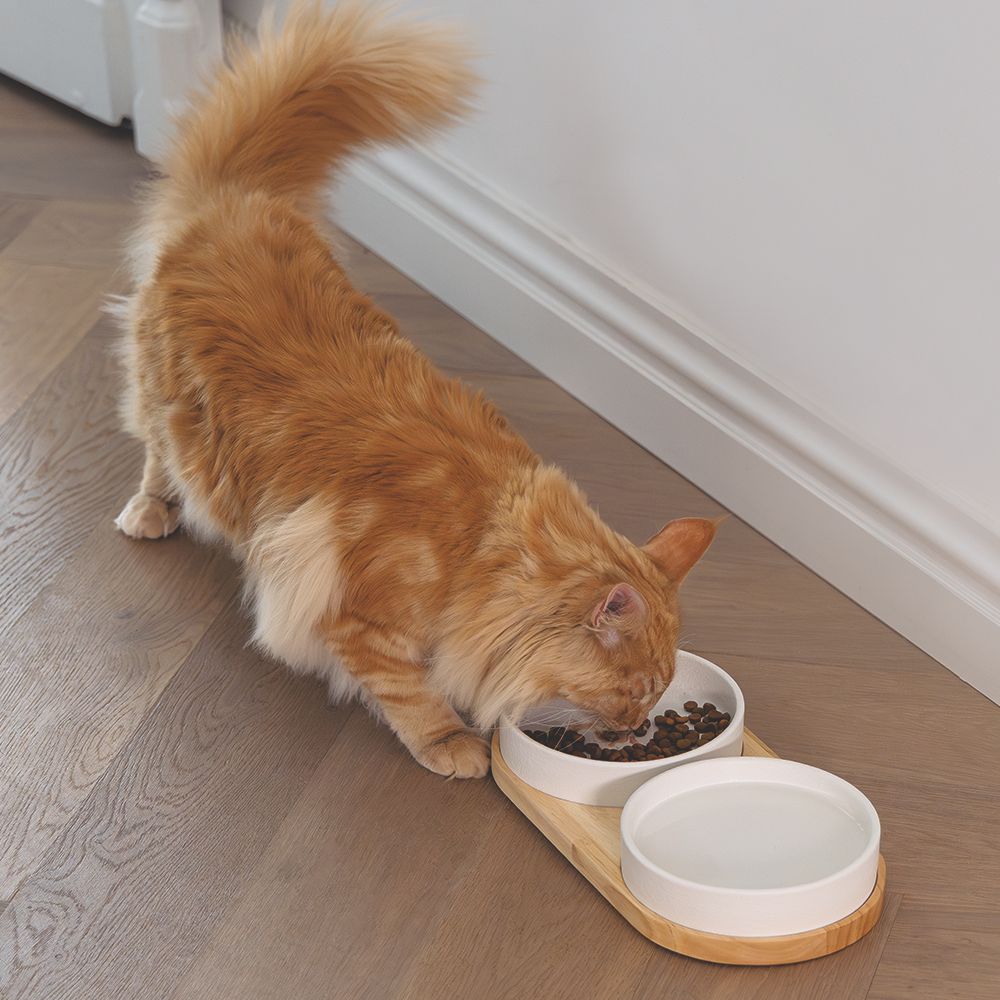 Designed by Lotte Keramik Napf LOJS - Katzennapf Hundenapf Futternapf Wassernapf