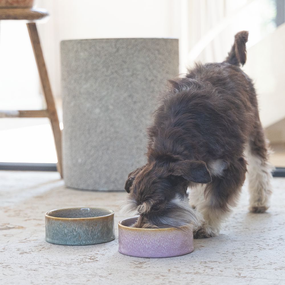 Designed by Lotte Keramik Hundenapf JACE - Napf Futternapf Fressnapf Wassernapf