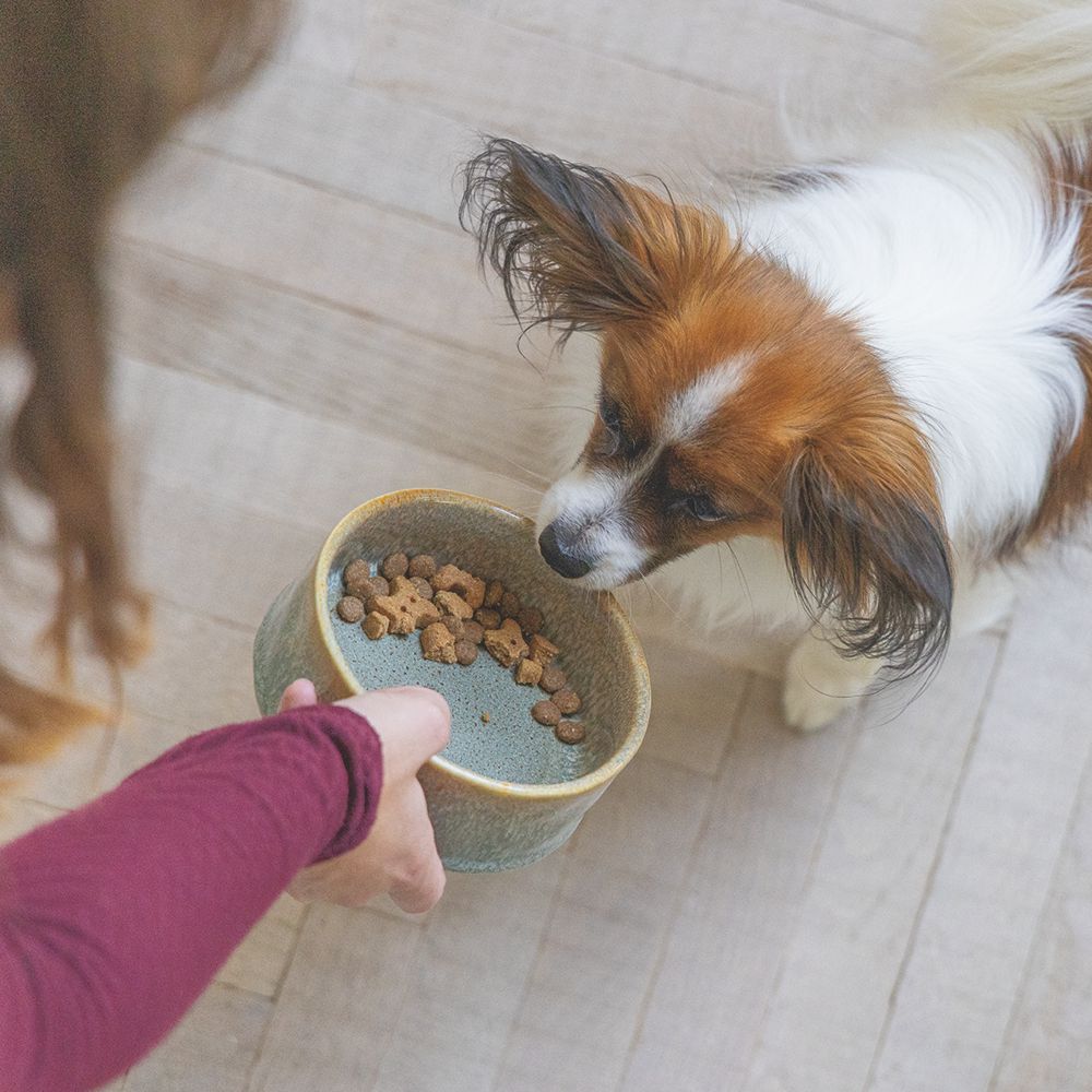 Designed by Lotte Keramik Hundenapf JACE - Napf Futternapf Fressnapf Wassernapf