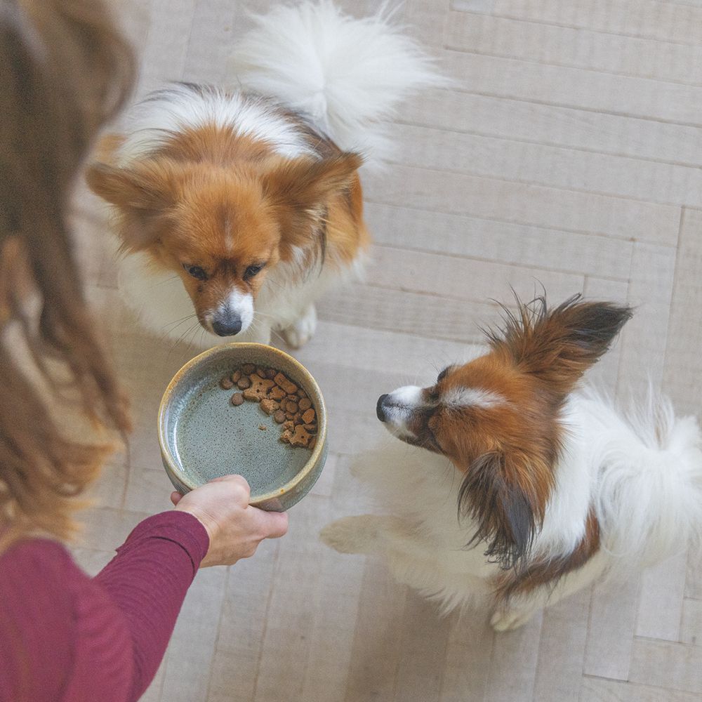 Designed by Lotte Keramik Hundenapf JACE - Napf Futternapf Fressnapf Wassernapf