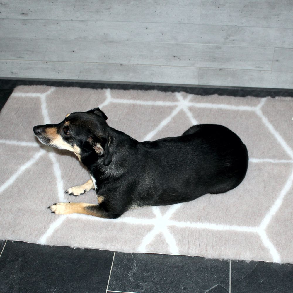 Beeztees Liegematte ECO Drybed Bench - 6 Größen - Schlafplatz Kissen Hundebett