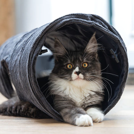Designed by Lotte Katzentunnel RIBBED - 25 x 75 cm - Spielspaß für Katzen