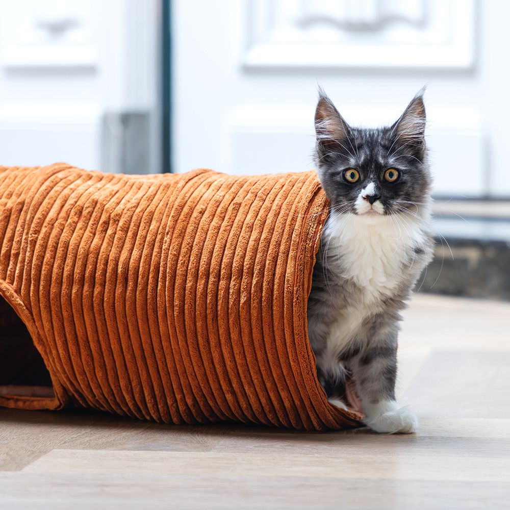 Designed by Lotte Katzentunnel RIBBED - 25 x 75 cm - Spielspaß für Katzen