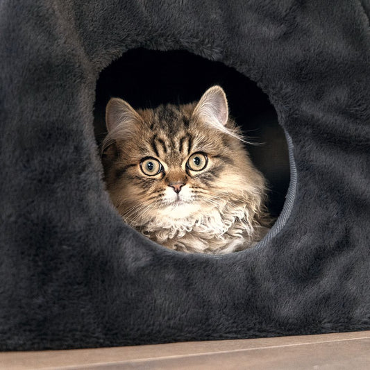 Beeztees Plüsch-Katzenhöhle MOZA - 40x40 cm - Katzenhaus Katzenbett Kuschelhöhle