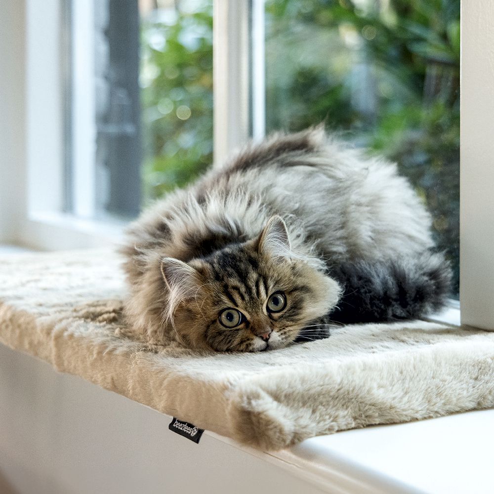 Beeztees Plüsch-Fensterbank-Kissen MOZA - 65x27x3 cm - Liegematte für Katzen