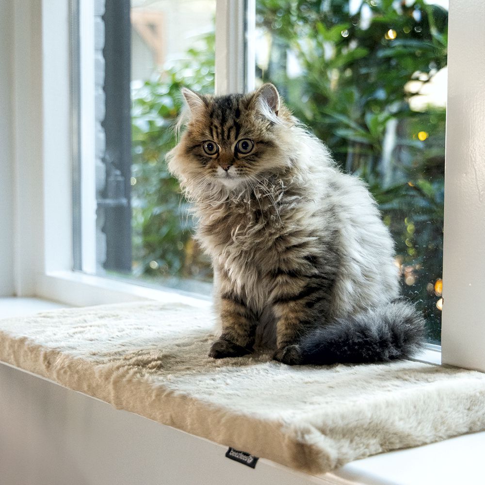 Beeztees Plüsch-Fensterbank-Kissen MOZA - 65x27x3 cm - Liegematte für Katzen