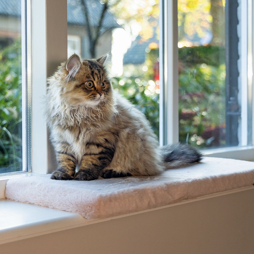 Beeztees Plüsch-Fensterbank-Kissen MOZA - 65x27x3 cm - Liegematte für Katzen