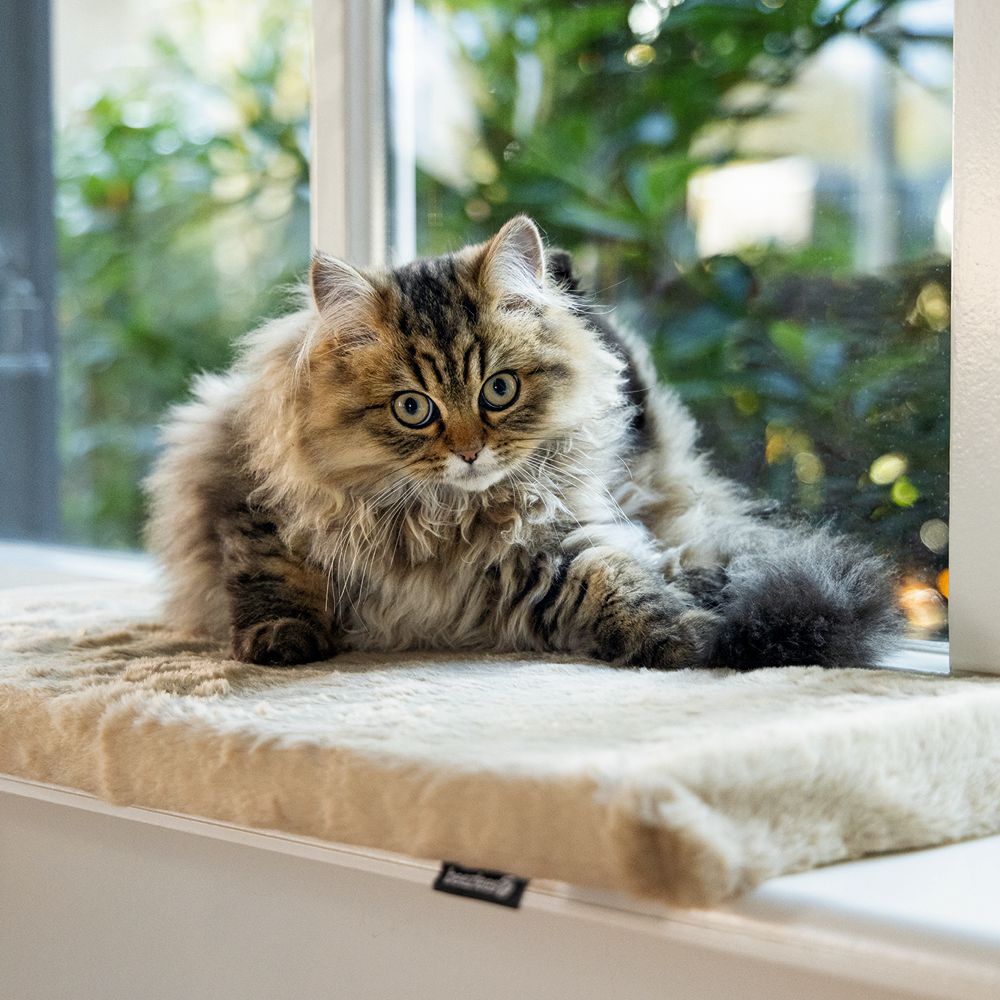 Beeztees Plüsch-Fensterbank-Kissen MOZA - 65x27x3 cm - Liegematte für Katzen