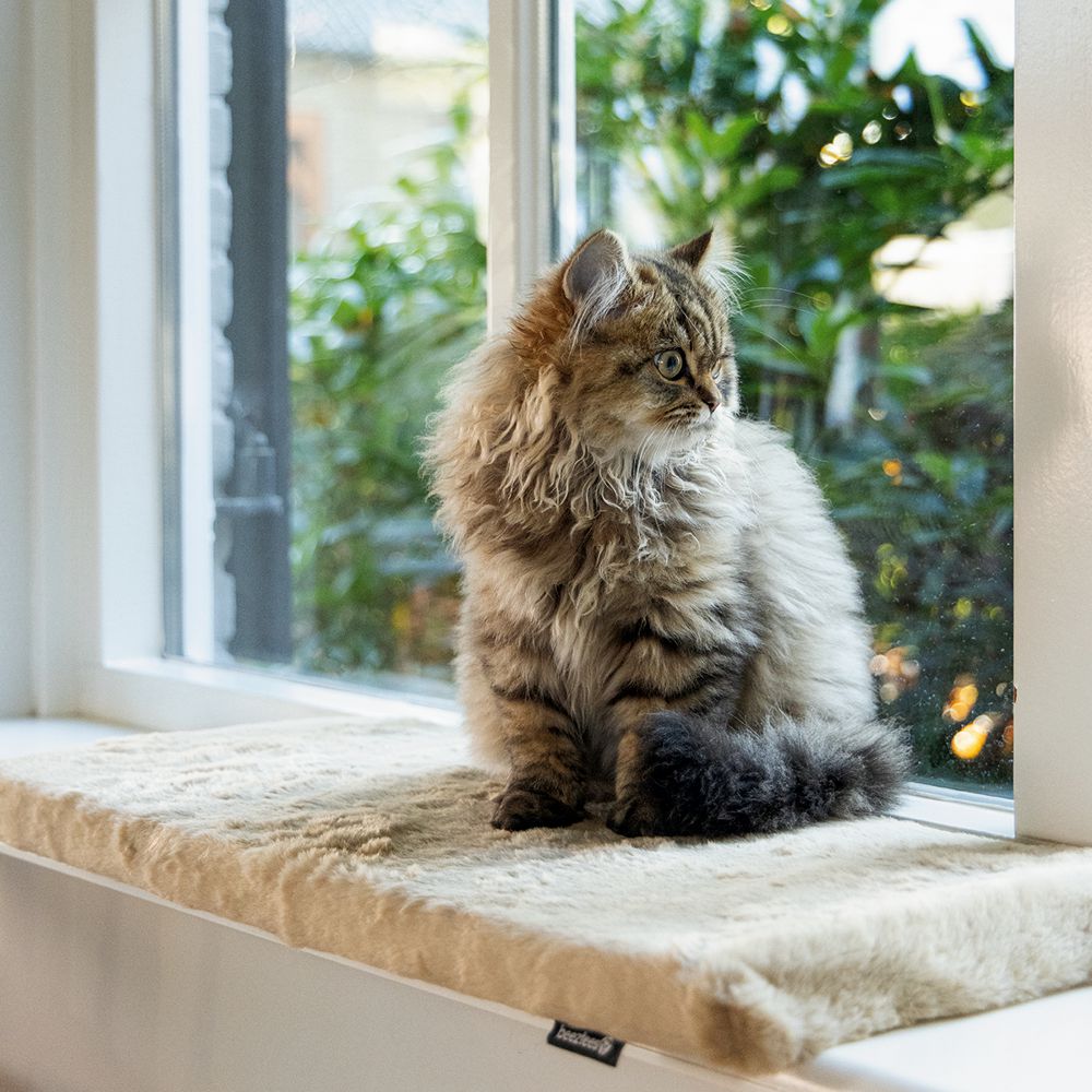 Beeztees Plüsch-Fensterbank-Kissen MOZA - 65x27x3 cm - Liegematte für Katzen