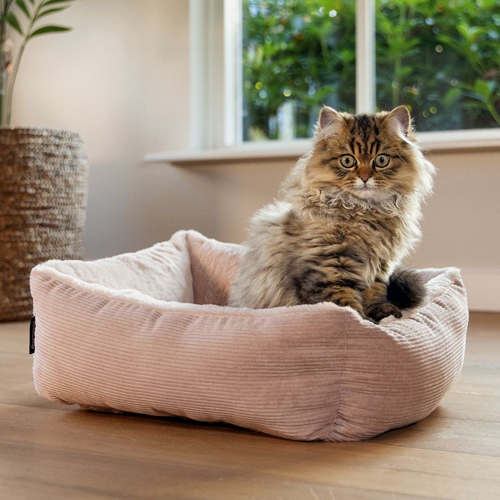 Beeztees Plüsch-Katzenbett MOZA - 48x37x15 cm - Schlafplatz Kuschelbett Katzen