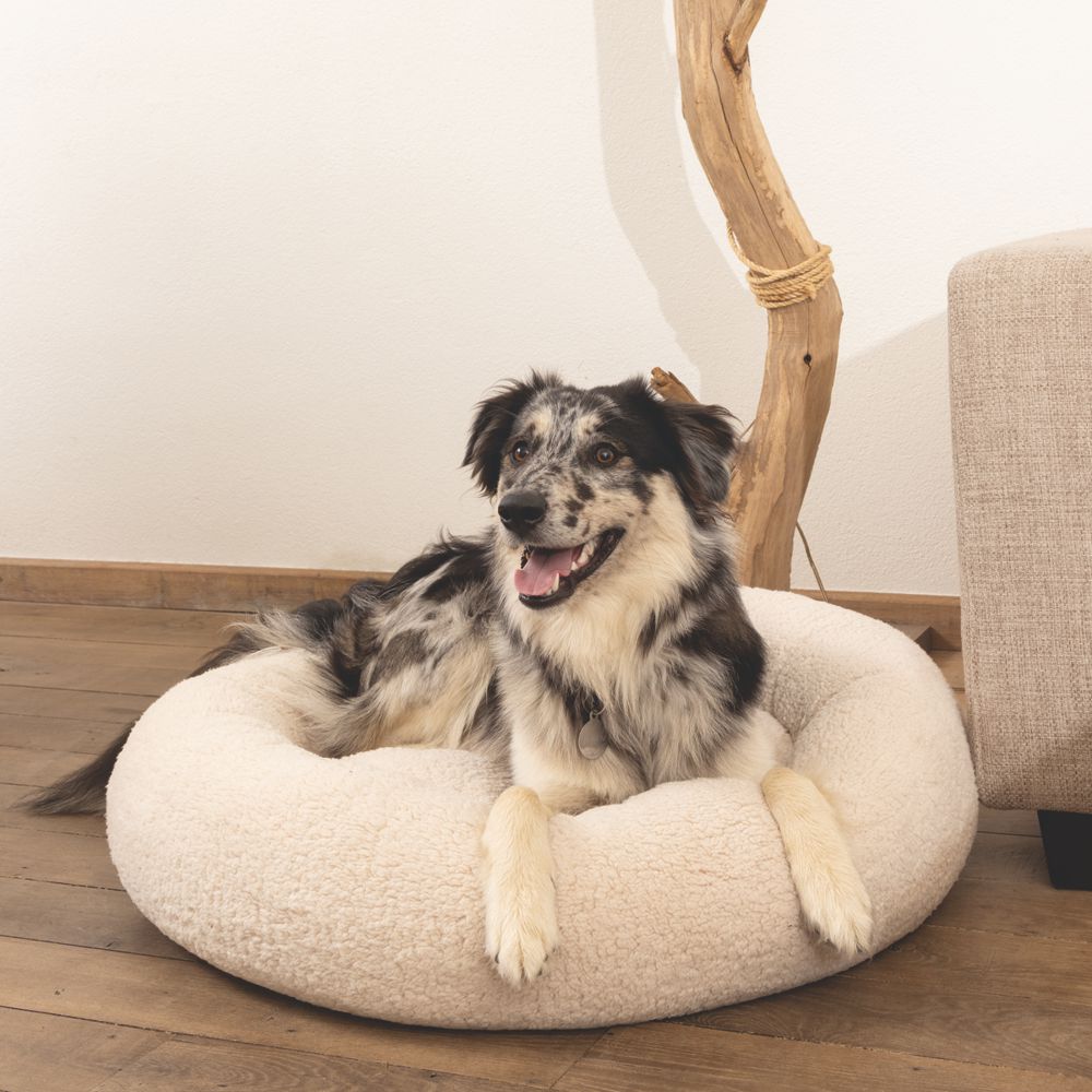 Beeztees JAXX - orthopädisches Hundebett rund - beige - Hundekissen Schlafplatz