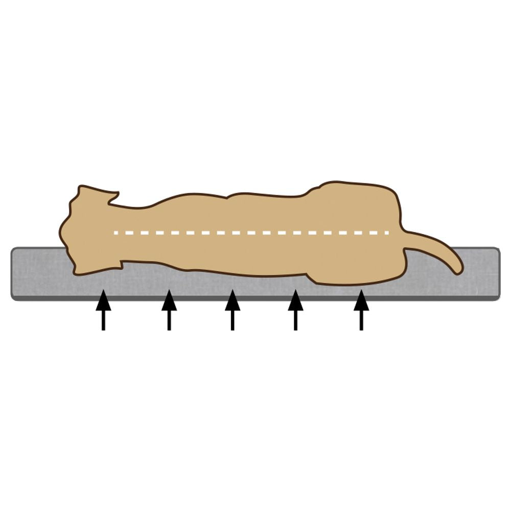 Beeztees JAXX - orthopädisches Hundebett rund - beige - Hundekissen Schlafplatz