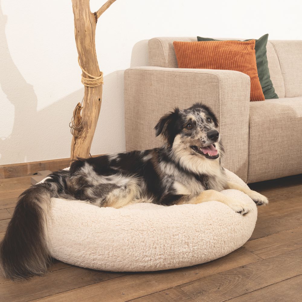 Beeztees JAXX - orthopädisches Hundebett rund - beige - Hundekissen Schlafplatz