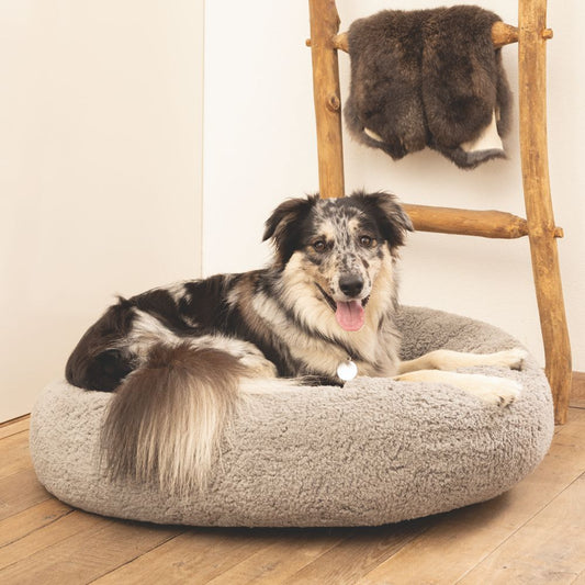 Beeztees JAXX - orthopädisches Hundebett rund - grau - Hundekissen Schlafplatz
