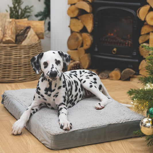 Beeztees orthopädisches Hundebett ZIRA - hellgrau - Hundekissen Schlafplatz