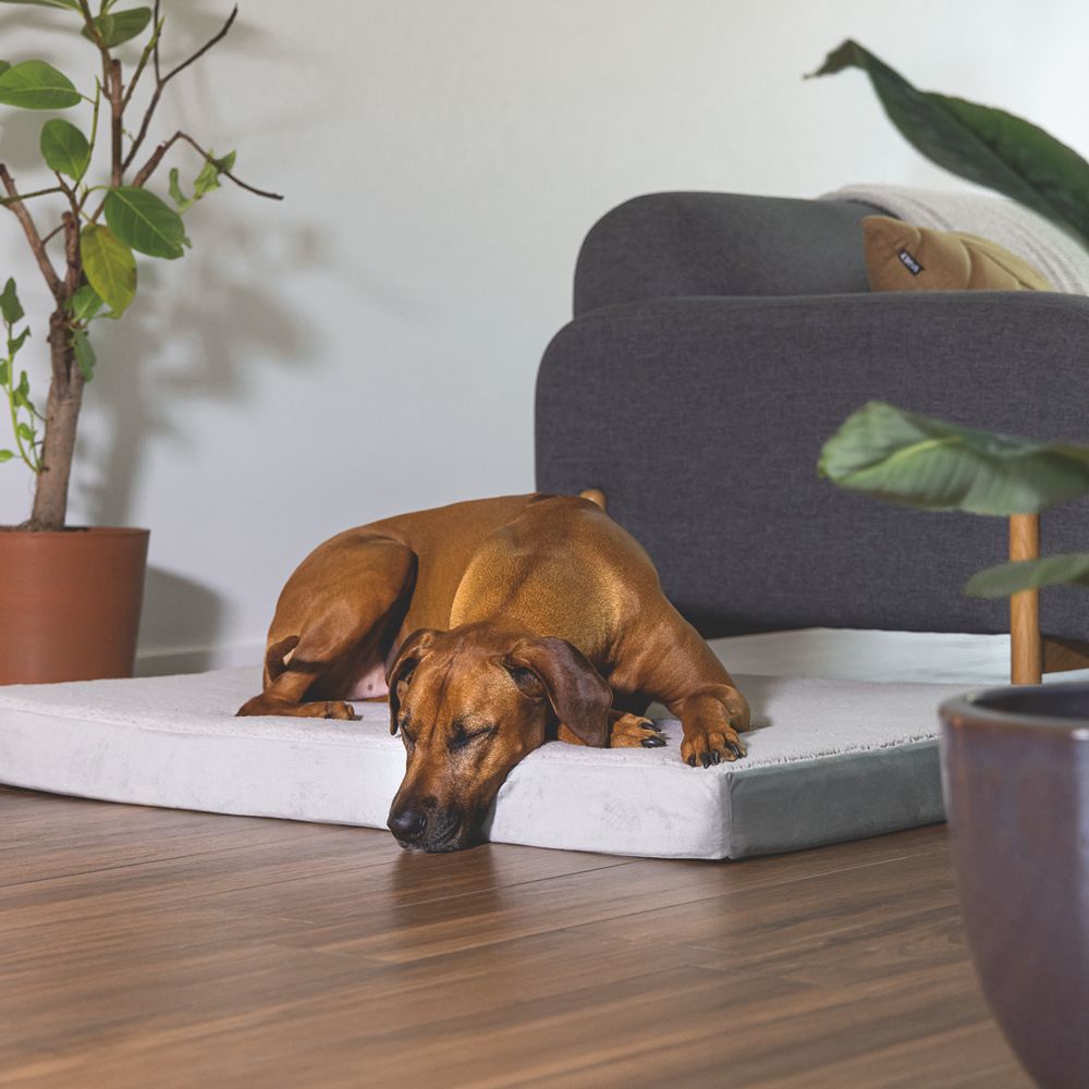 Beeztees orthopädisches Hundebett ZIRA - hellgrau - Hundekissen Schlafplatz