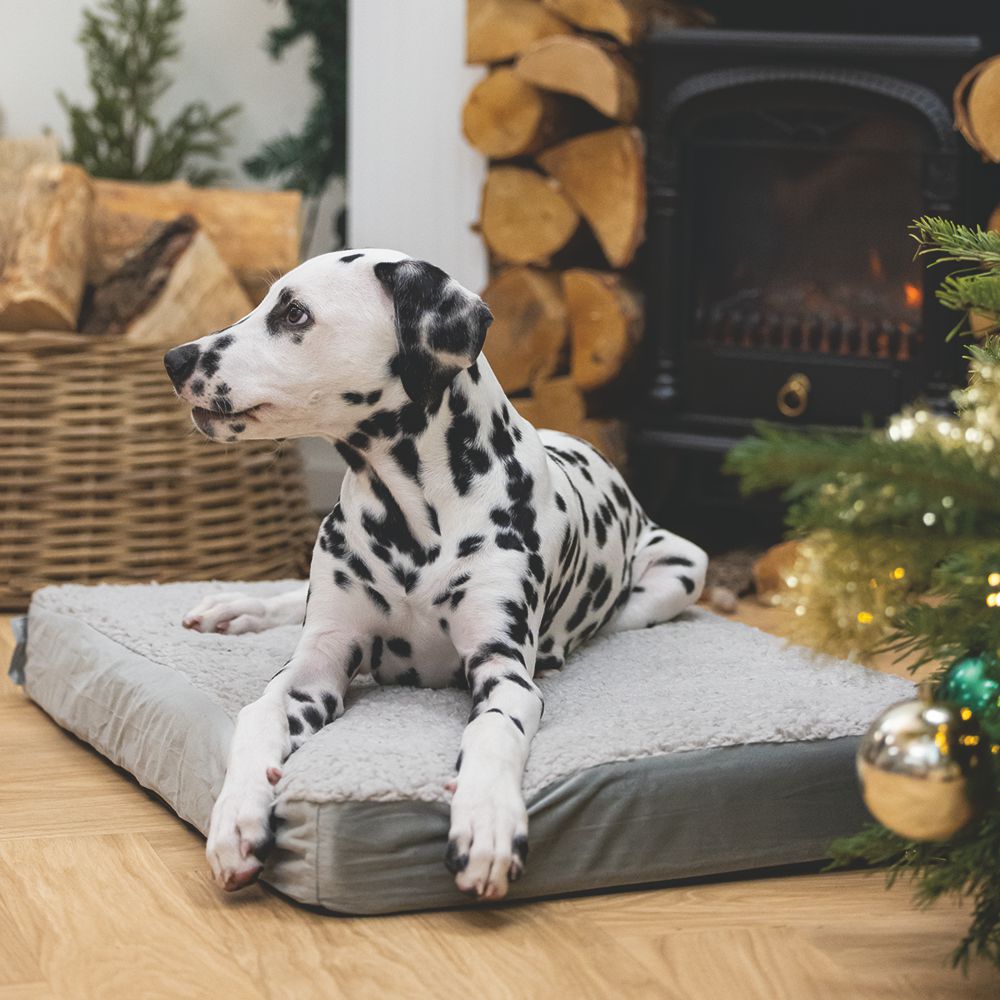 Beeztees orthopädisches Hundebett ZIRA - hellgrau - Hundekissen Schlafplatz