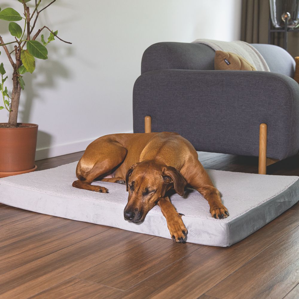 Beeztees orthopädisches Hundebett ZIRA - hellgrau - Hundekissen Schlafplatz