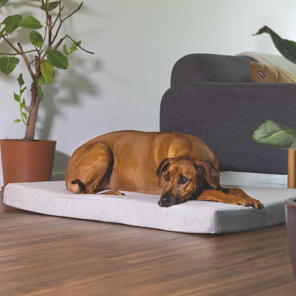 Beeztees orthopädisches Hundebett ZIRA - hellgrau - Hundekissen Schlafplatz