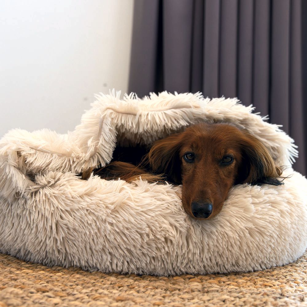 Beeztees Hundebett YALA beige - 50/60/70/80 cm Donut Höhle Hundekorb Schlafplatz