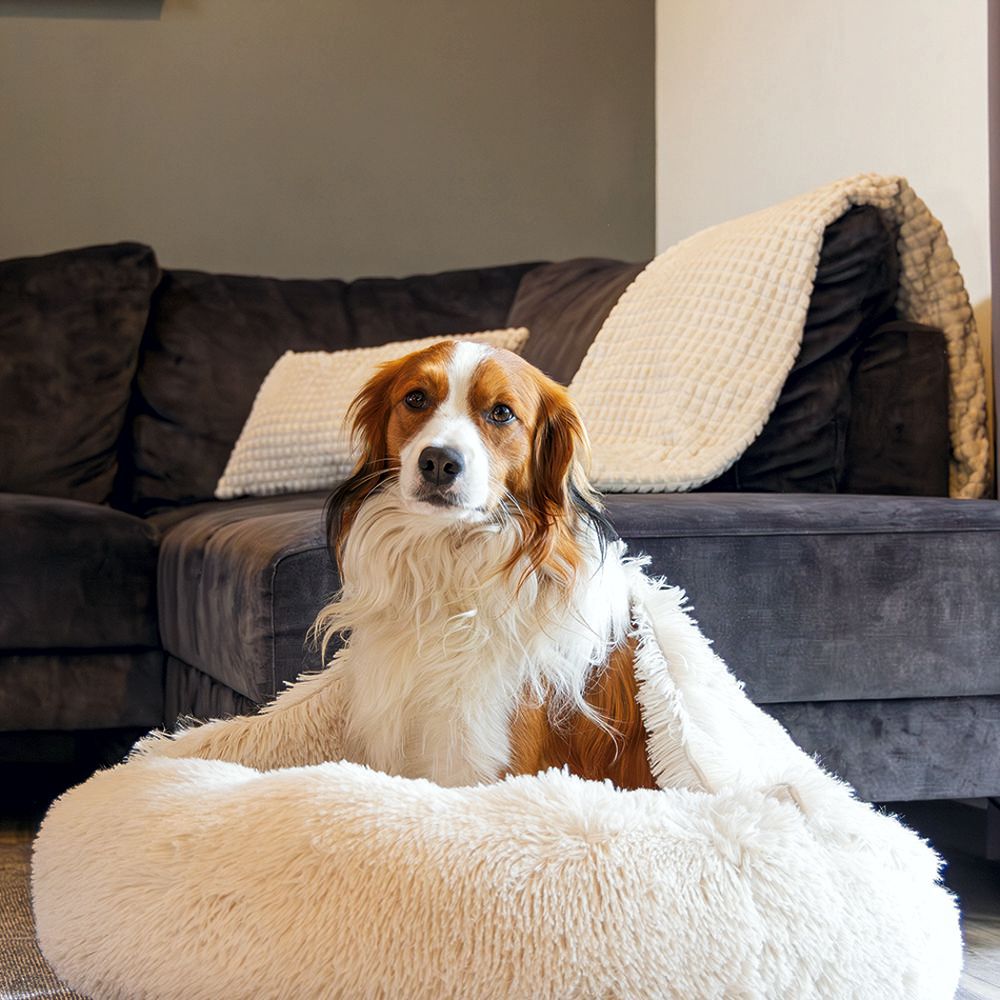 Beeztees Hundebett YALA beige - 50/60/70/80 cm Donut Höhle Hundekorb Schlafplatz