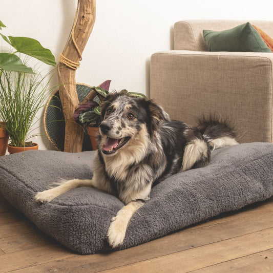 Beeztees Minus One Liegekissen - 100 x 70 cm - Schlafplatz Bett Korb - Hund