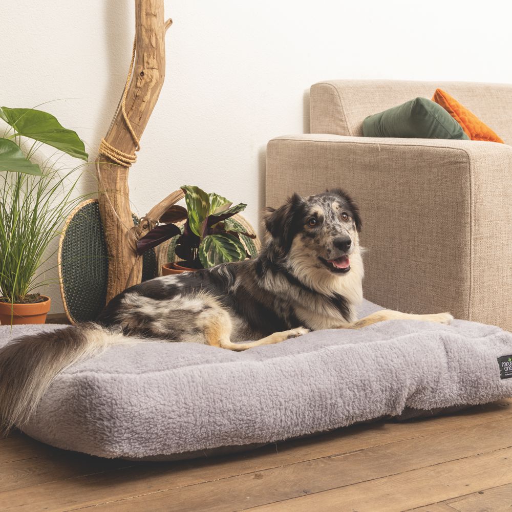 Beeztees Minus One Liegekissen - 100 x 70 cm - Schlafplatz Bett Korb - Hund