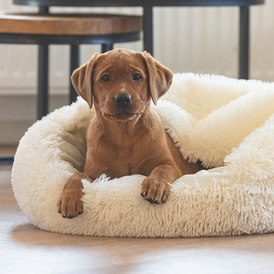 Beeztees Welpenbett KIKI - 50 cm rund - Hundebett Höhle Hundekorb Schlafplatz