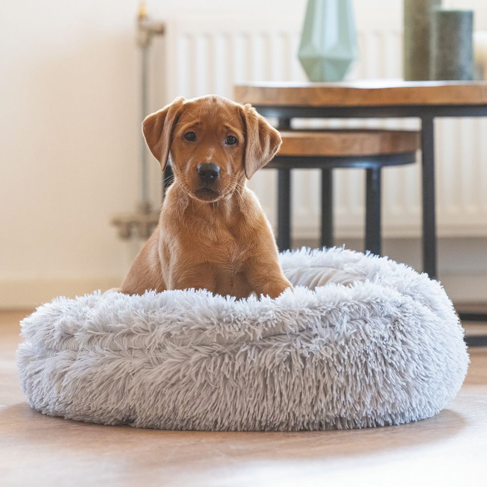 Beeztees Welpenbett KIKI - 50 cm rund - Hundebett Höhle Hundekorb Schlafplatz