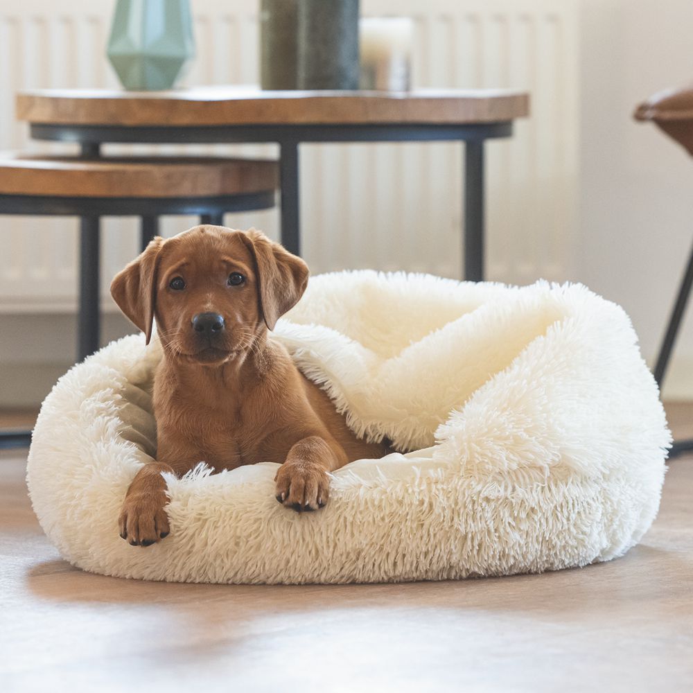 Beeztees Welpenbett KIKI - 50 cm rund - Hundebett Höhle Hundekorb Schlafplatz