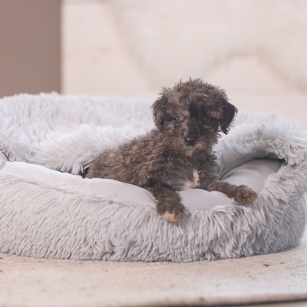 Beeztees Welpenbett KIKI - 50 cm rund - Hundebett Höhle Hundekorb Schlafplatz