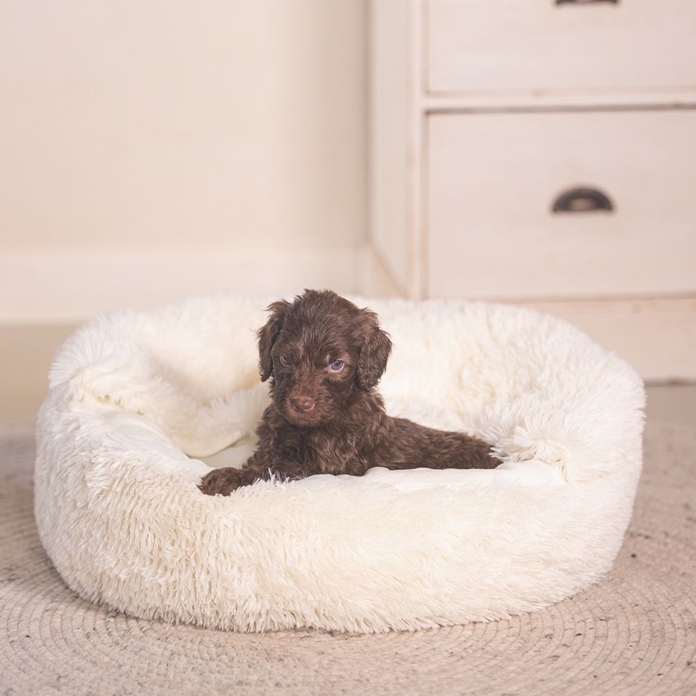 Beeztees Welpenbett KIKI - 50 cm rund - Hundebett Höhle Hundekorb Schlafplatz