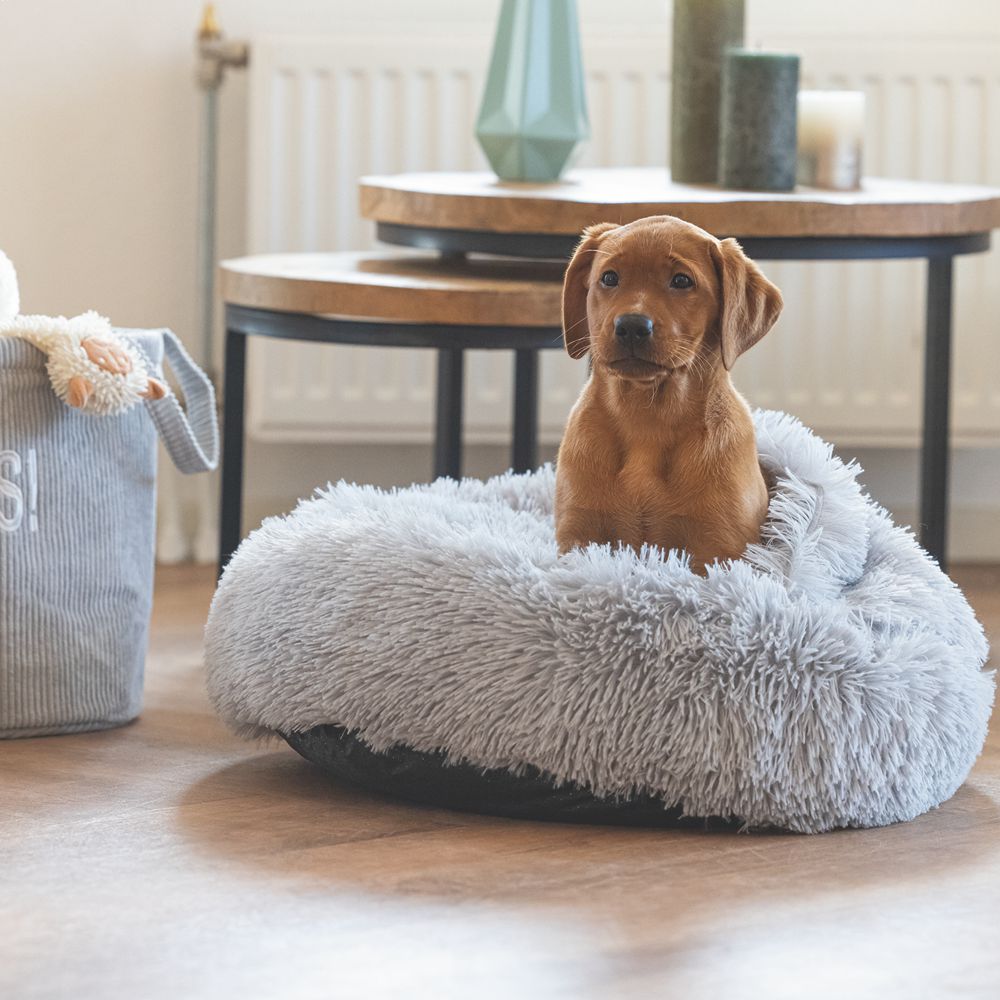 Beeztees Welpenbett KIKI - 50 cm rund - Hundebett Höhle Hundekorb Schlafplatz