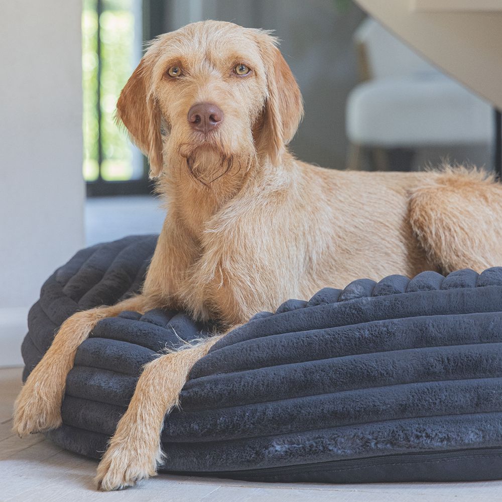 Designed by Lotte REZA - Hundebett rund - anthrazit - Hundekissen Schlafplatz