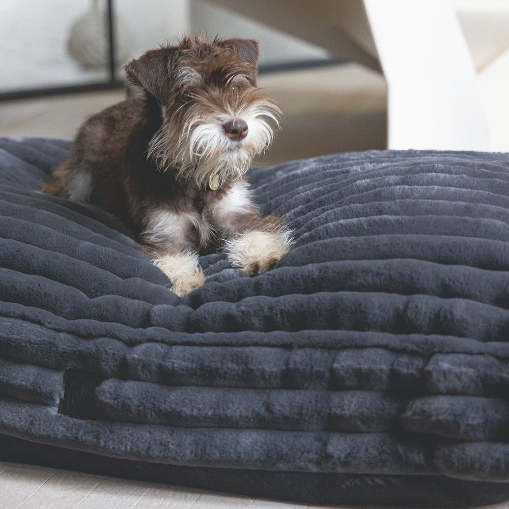 Designed by Lotte REZA - Hundebett eckig - anthrazit - Hundekissen Schlafplatz