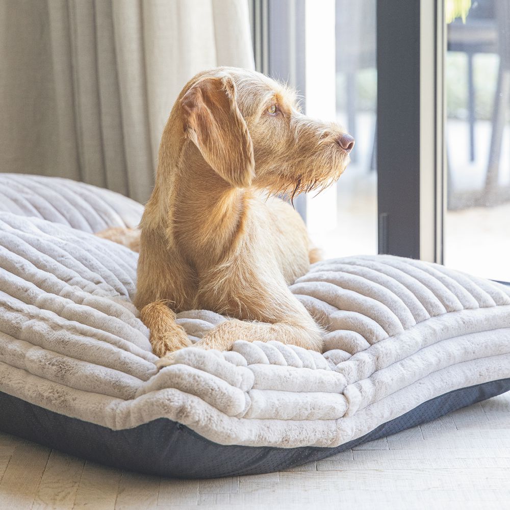 Designed by Lotte REZA - Hundebett eckig - beige - Hundekissen Schlafplatz