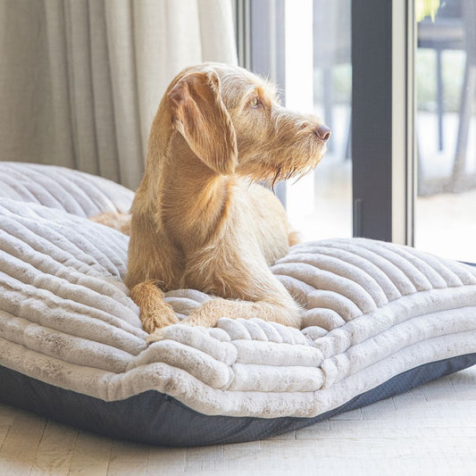 Designed by Lotte REZA - Hundebett eckig - beige - Hundekissen Schlafplatz