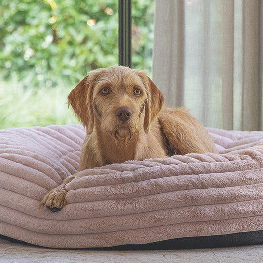 Designed by Lotte REZA - Hundebett eckig - rosa - Hundekissen Schlafplatz